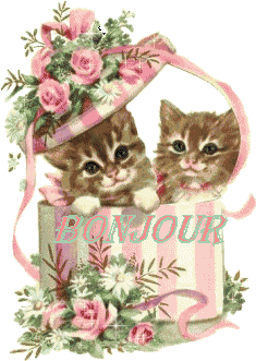 LES CHATONS